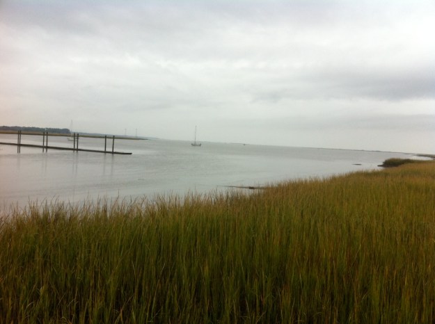 The Marshes of Glynn